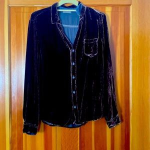 CP Shades Brown Velvet Button Down Blouse